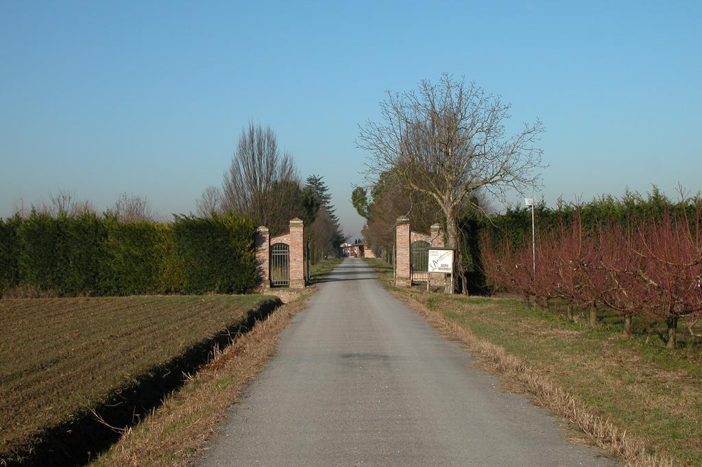 Вилла Agriturismo L'Angelina Alfonsine Экстерьер фото
